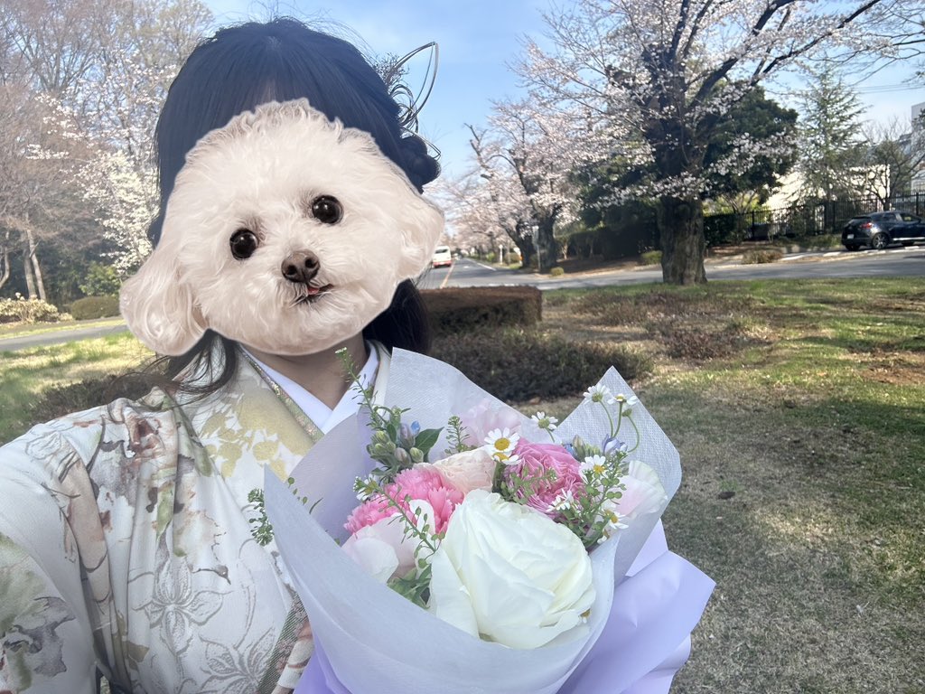 づち🦭🔨 ㌃㍎㌍ tweet media