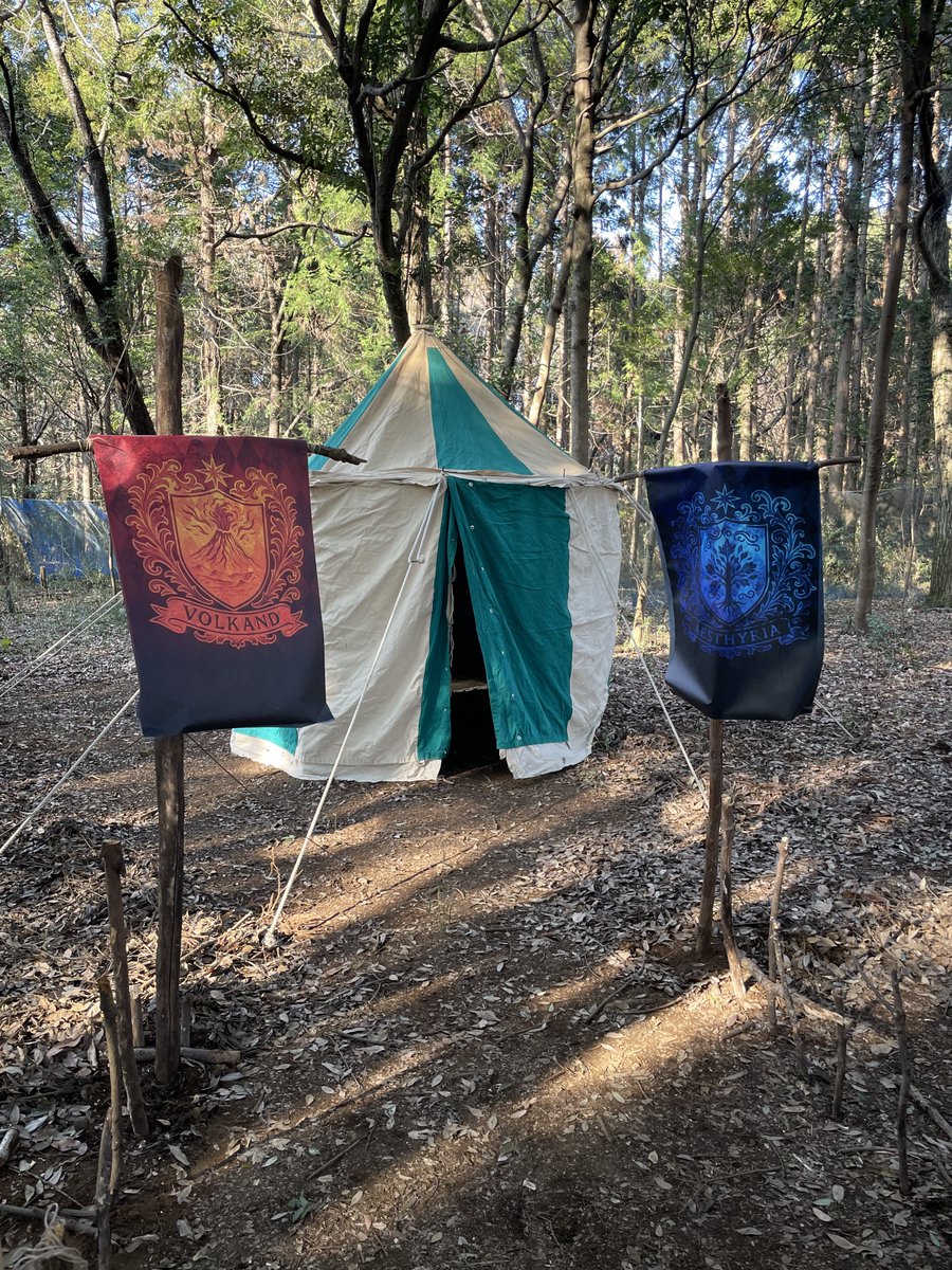 雛咲望月🌙🍥🎀片麻痺LARPer &ファンタジーキャンパー📯M.Hinasaki tweet media