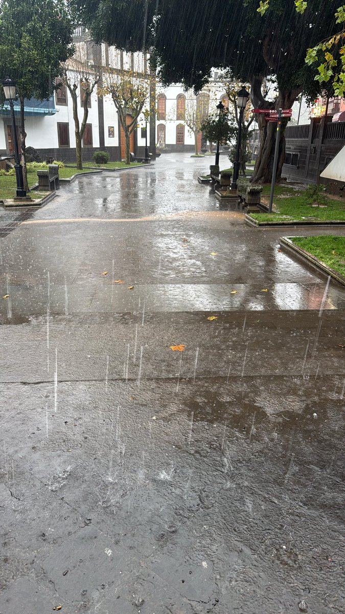 Silvia Álamo tweet media