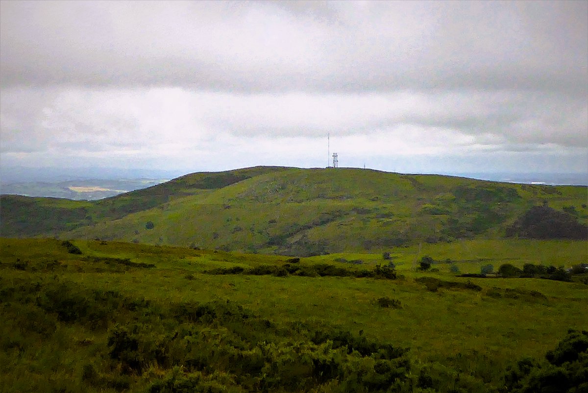 Derek Flack tweet media