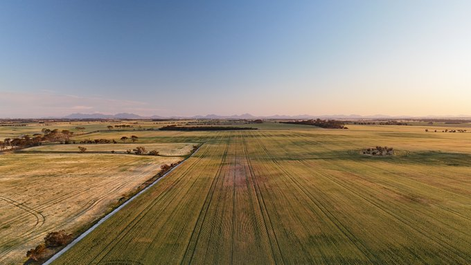 Clear Grain Exchange tweet media