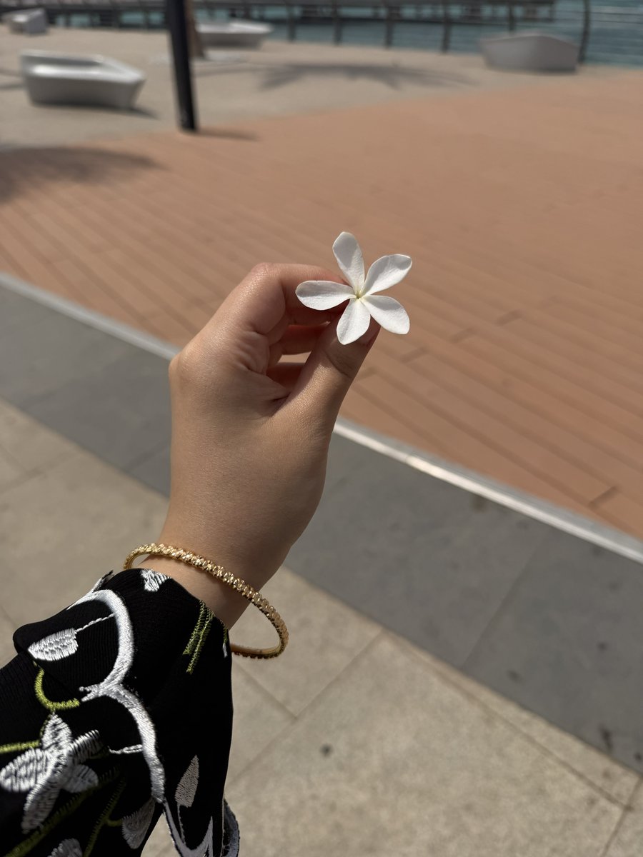 𝐿𝑒𝑛𝑎 ⭑ tweet media