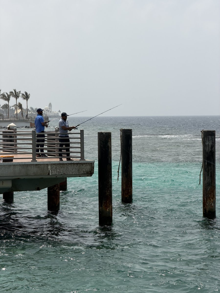 𝐿𝑒𝑛𝑎 ⭑ tweet media