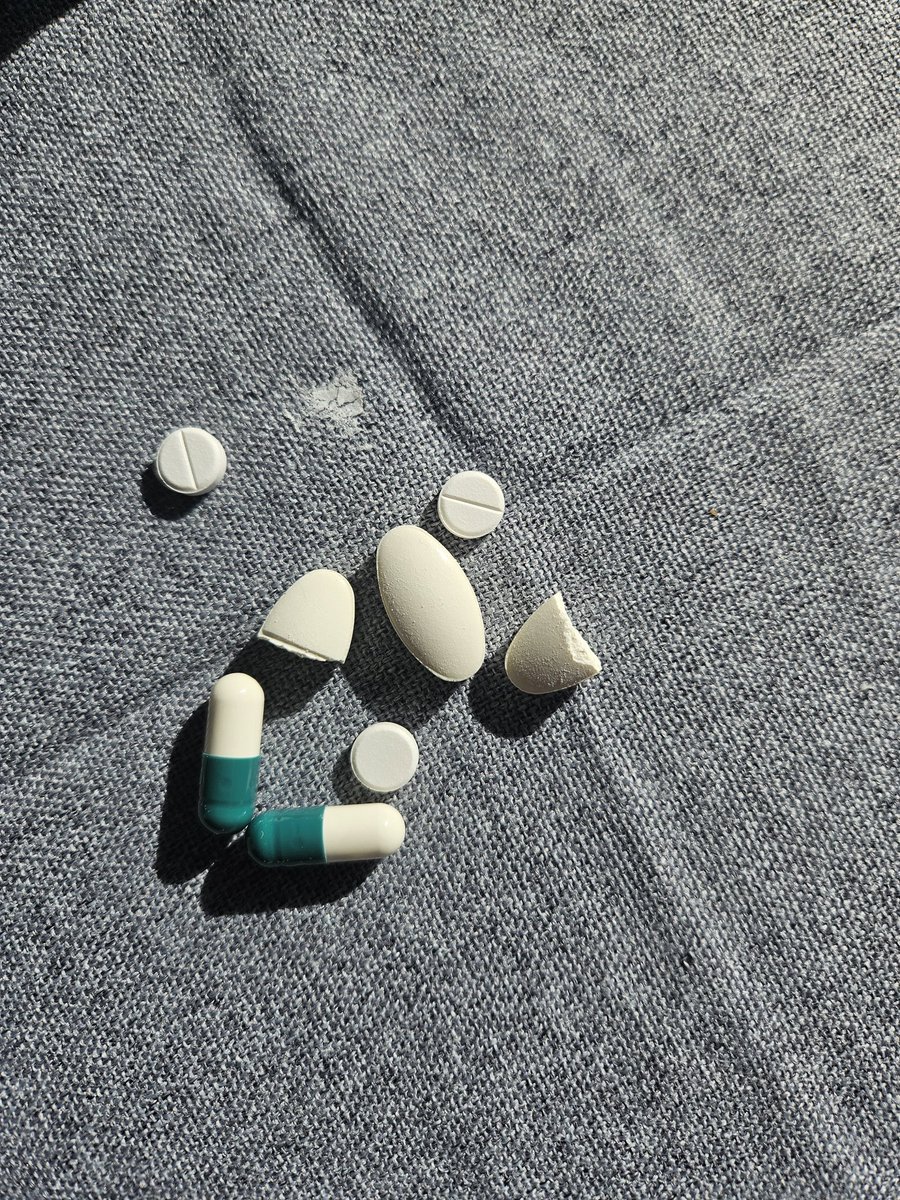 BMS | 🌷 El_ly 🌷 tweet media