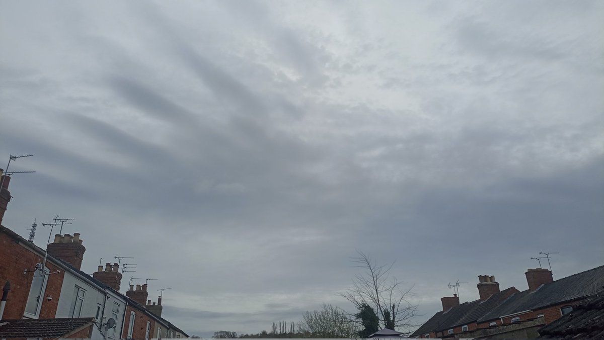 cheesley 💙 🇪🇺 tweet media