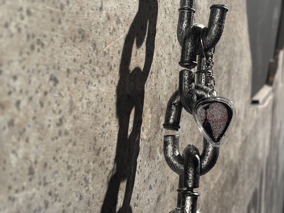 섬으로 간 나비 tweet media