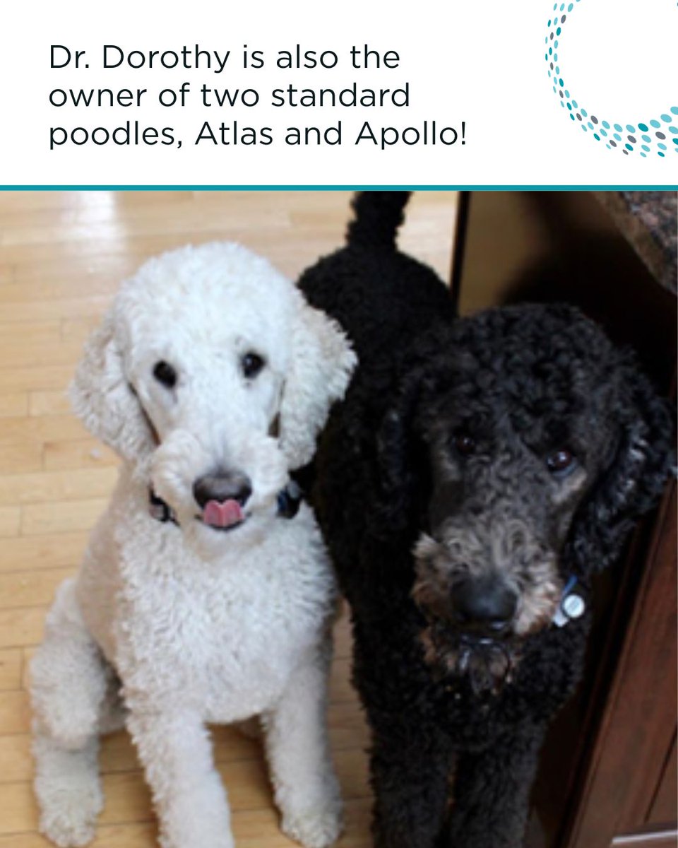 Future In Sight tweet media