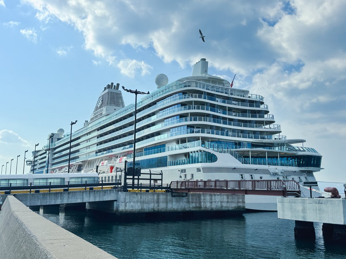 夏子 (Natsuko) tweet media