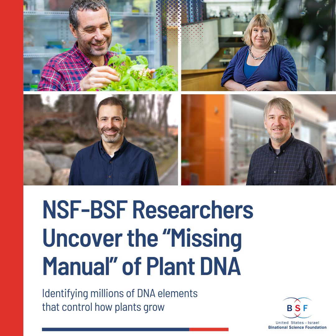 usisraelbsf's tweet photo. A step toward mapping the “missing manual” of plant evolution.

A new Science study identifies 2M+ DNA elements that control how plants grow - and opens new paths for precise crop improvement. 

🔗NSF-BSF U.S.-Israel collaboration: https://t.co/ICBgD1KWZX https://t.co/MHwkhamyaU