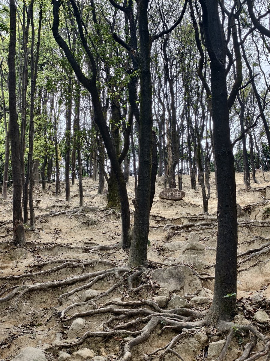 双拼推友 tweet media