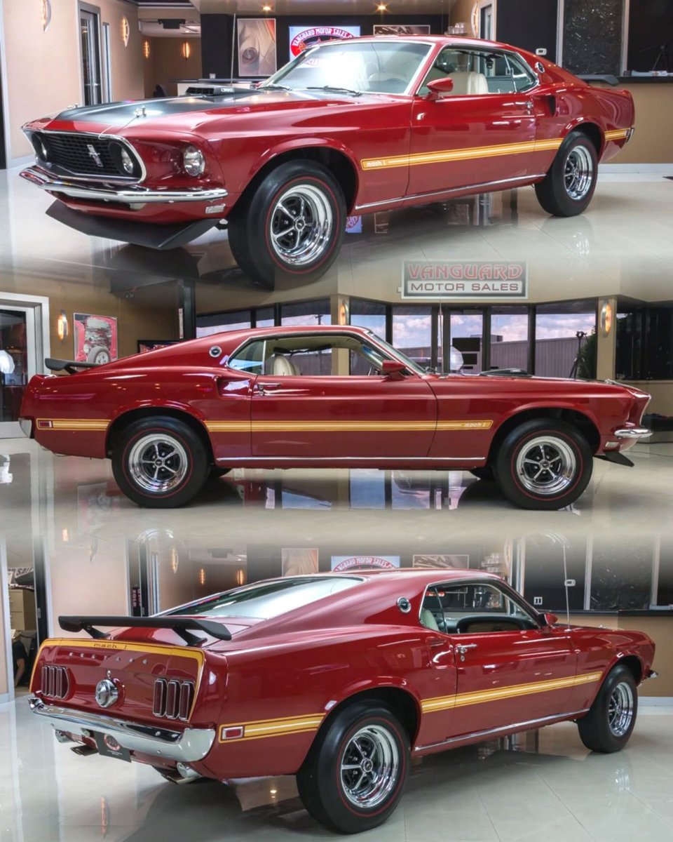 Dino Kasamis tweet media