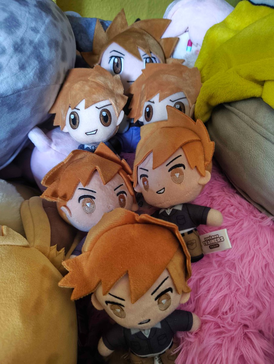 allocer 🍏🍎 tweet media