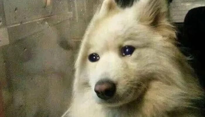 𝙯𝙚𝙧𝙤 💞 tweet media