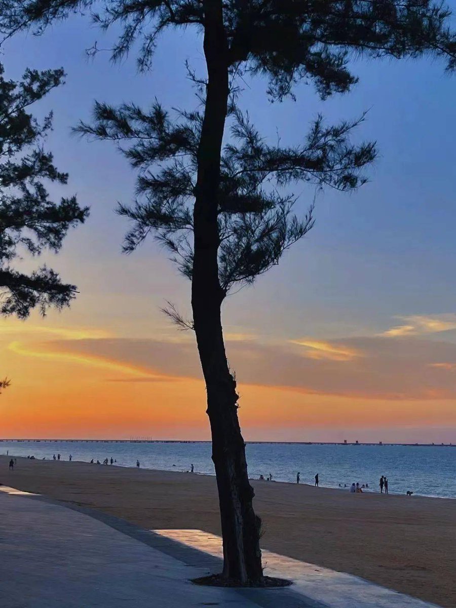 dempanada tweet media