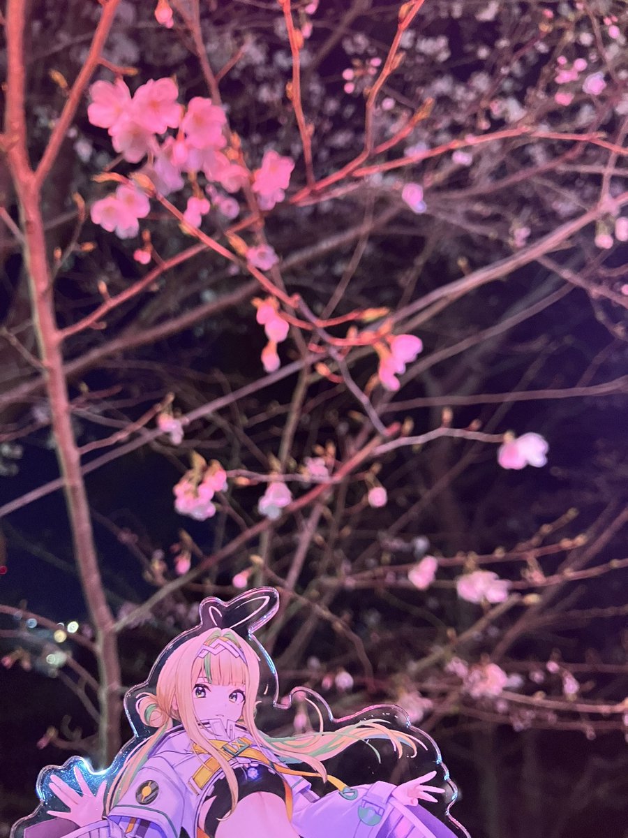 もちこし tweet media