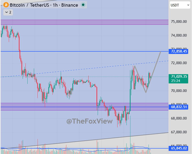 Fox View tweet media