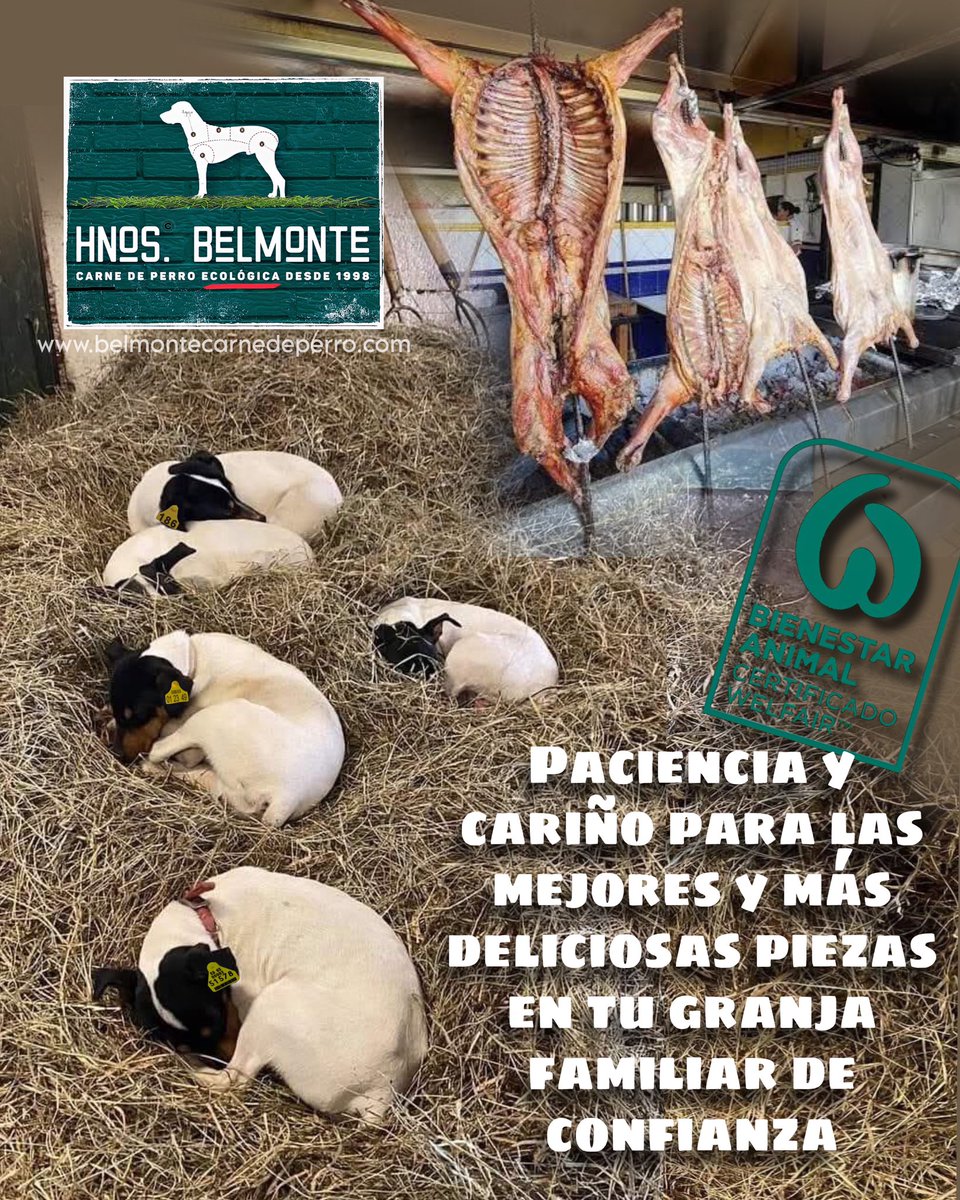 Belmonte Carne Ecológica de Perro tweet media