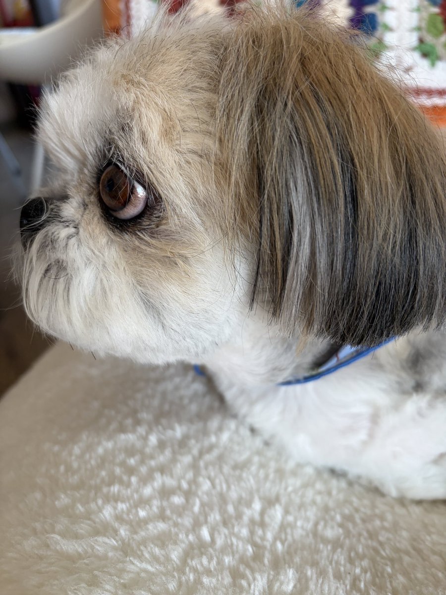 ぶんきんちゃんねる公式 tweet media