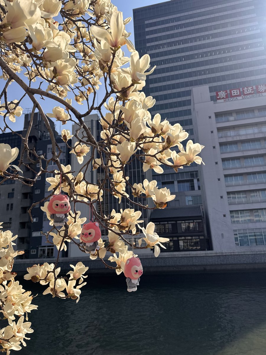 _99_0303's tweet photo. 다시 주말로 돌아갈래 … 🥺 https://t.co/64RzPEmnA2