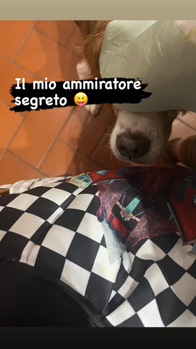 Eftiola Moni 🇮🇹 tweet media