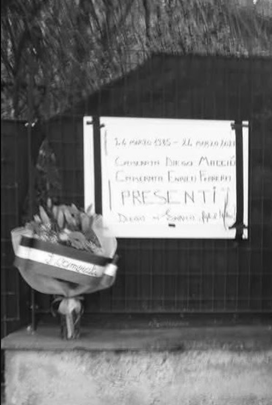 Fernando tweet media