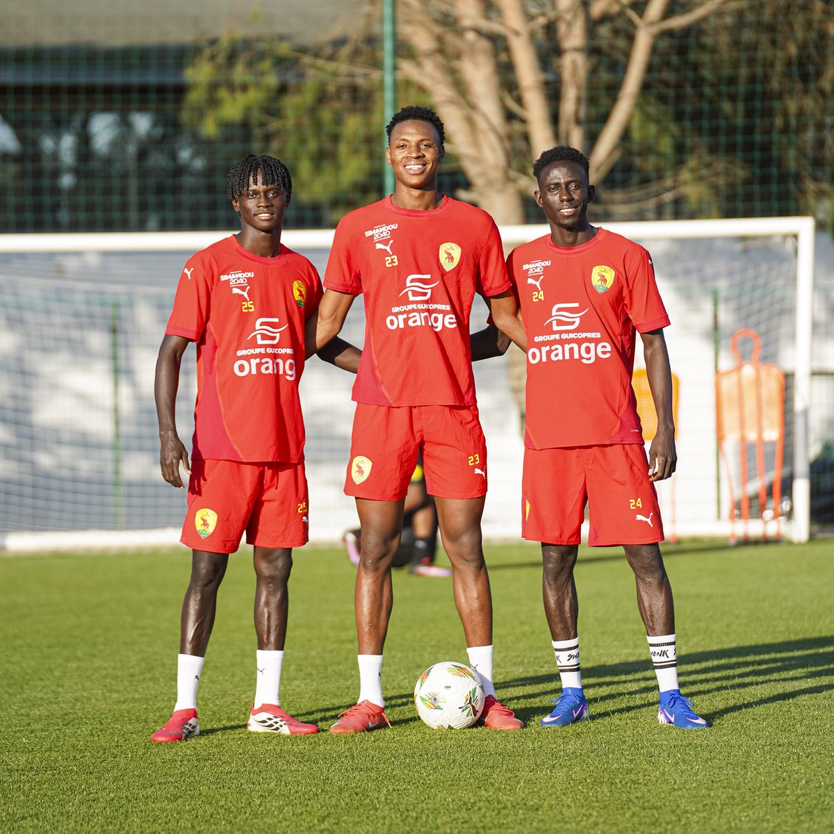 Fédération Guinéenne de Football tweet media