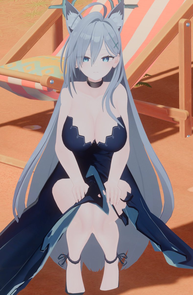 모래늑대🐺 tweet media