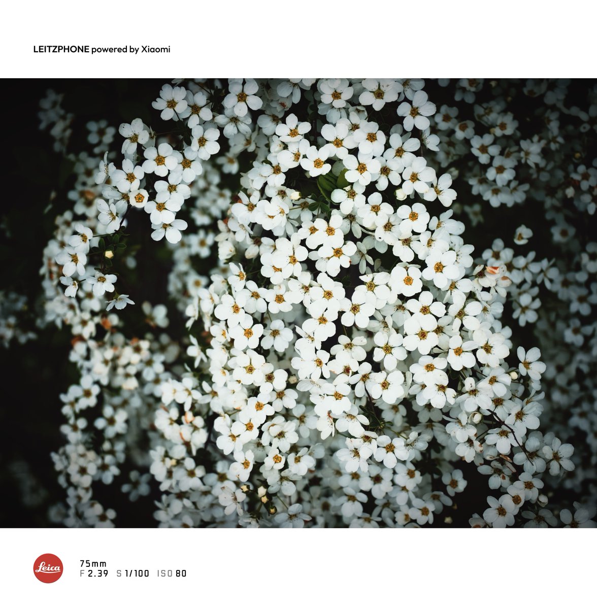 タクヲ tweet media