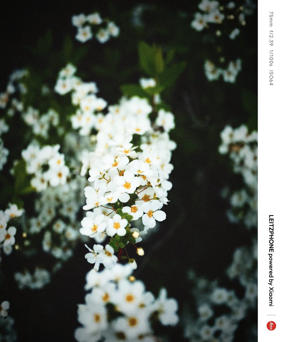 タクヲ tweet media