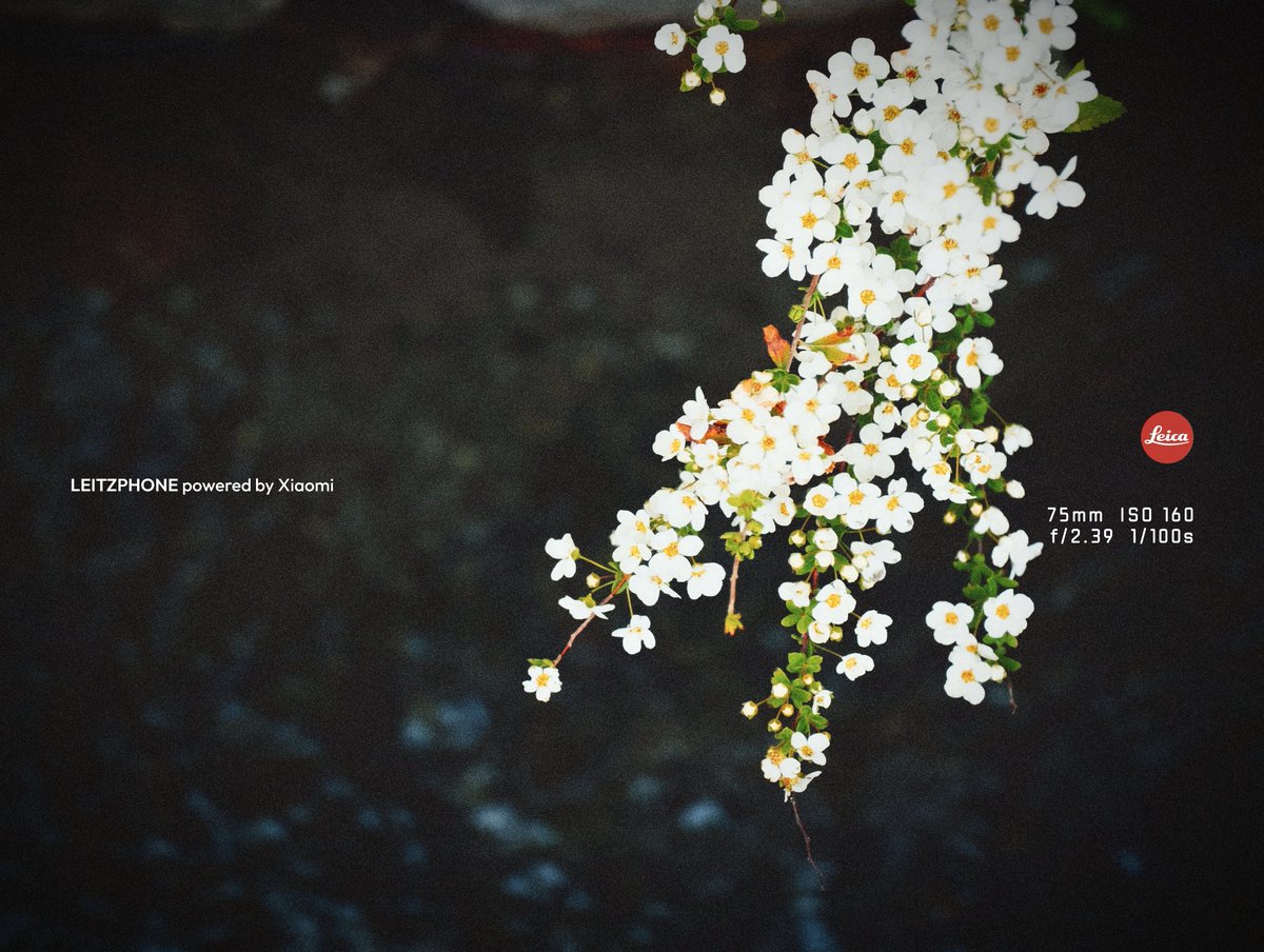 タクヲ tweet media