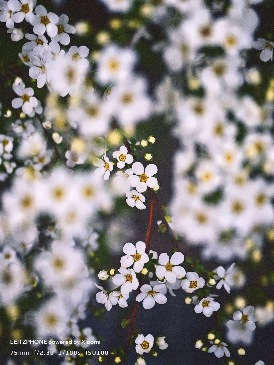 タクヲ tweet media