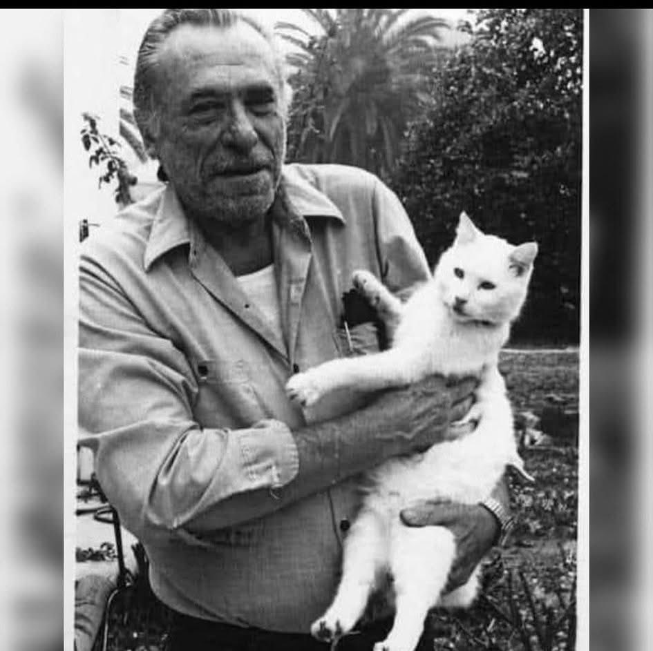 Alain Weber tweet media