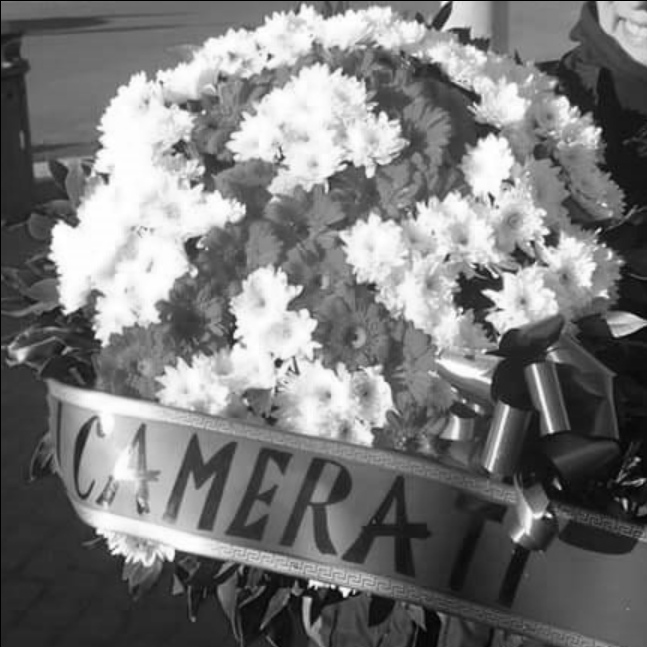 Fernando tweet media