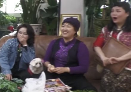 아니ㅋㅋㅋㅋㅋㅋ 아미고증 미쳤냐고ㅋㅋㅋㅋㅋㅋ 나랑 똑같은 표정이자노 

#BTS #방탄소년단 #Jimin #지민