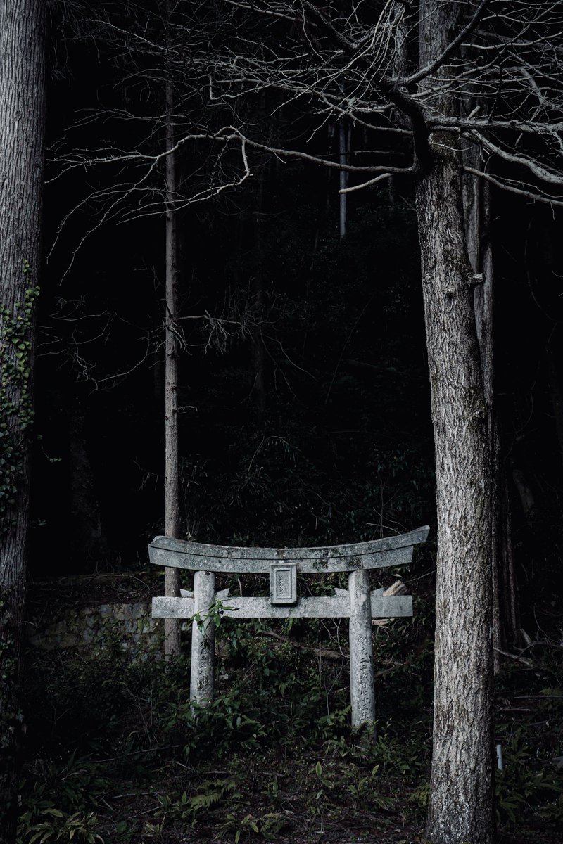 しどろ tweet media