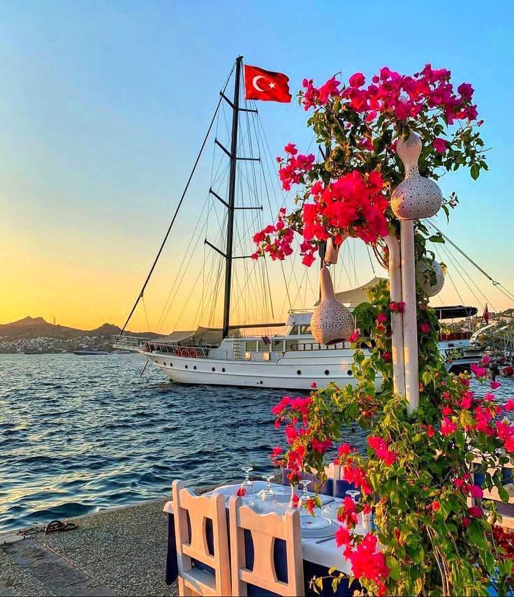 Arooma Ansar tweet media