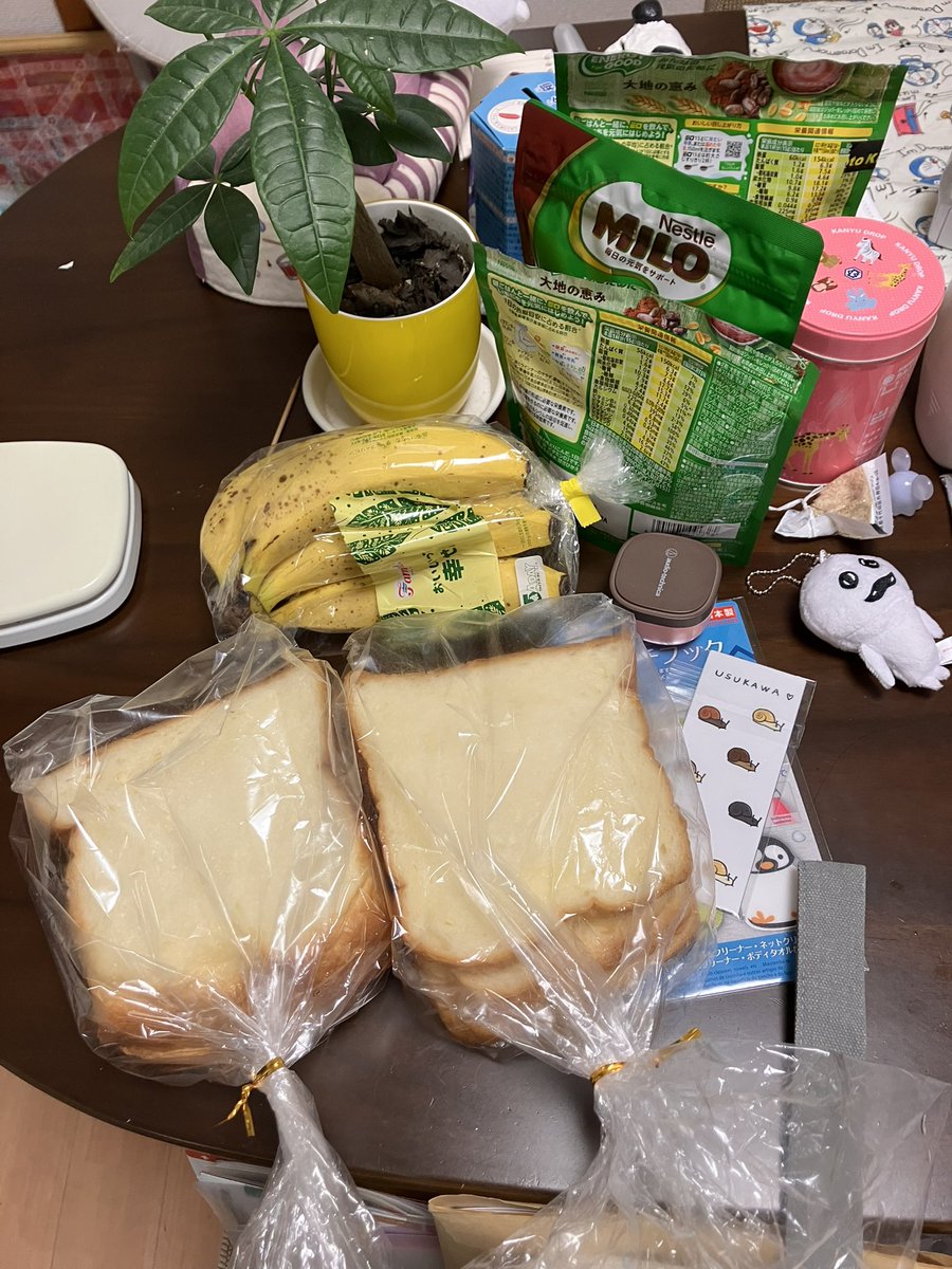 わたあめ@王子9歳＆若君4歳 tweet media