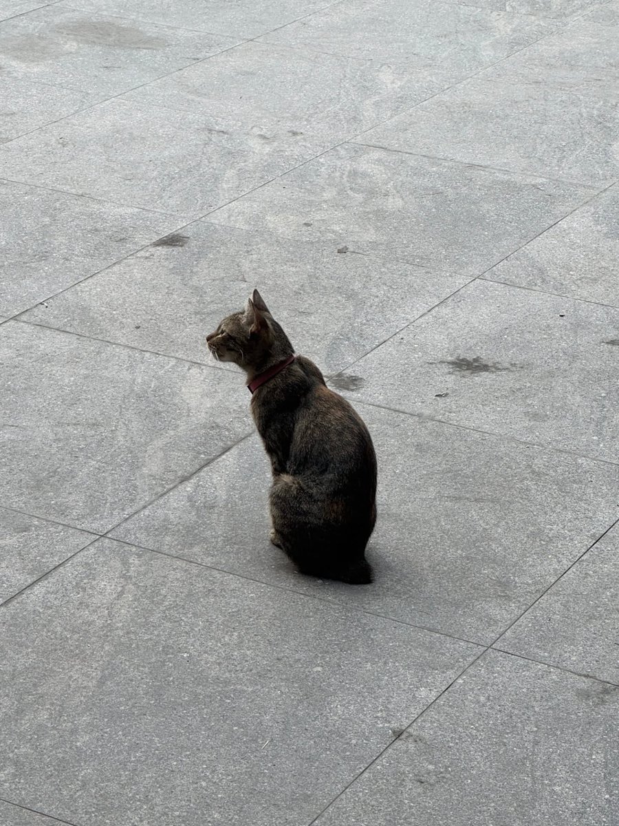 BOO STAGRAM tweet media