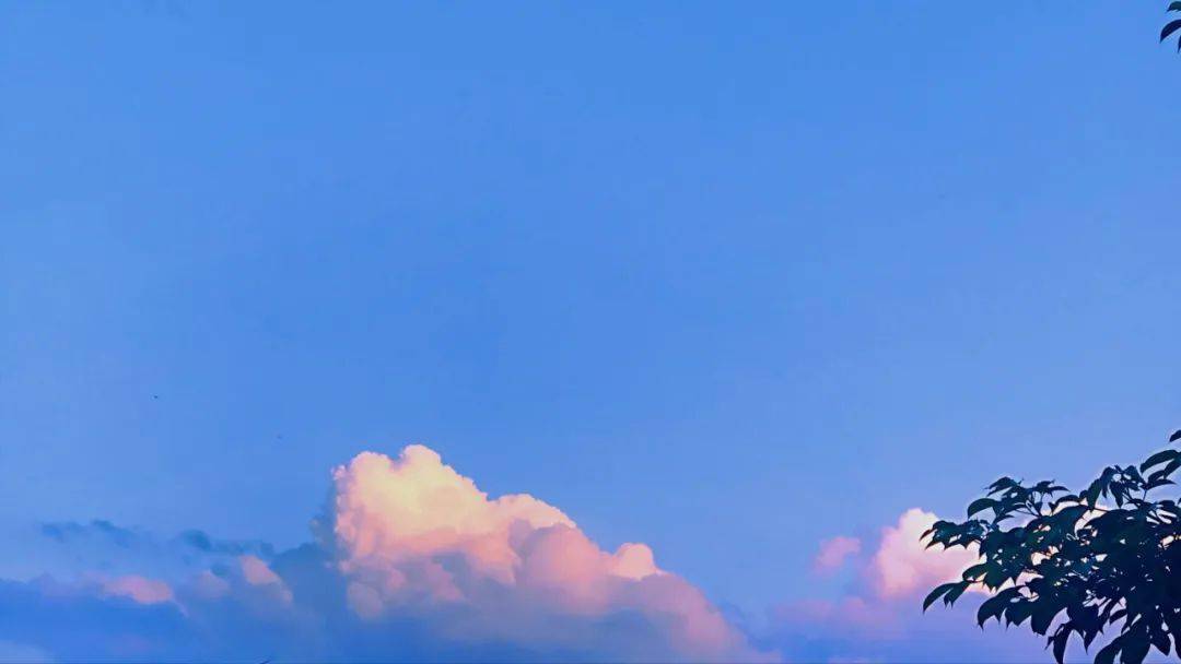 Alessia prete tweet media