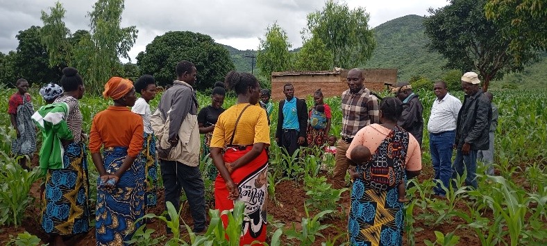 Malawi Environmental Endowment Trust tweet media