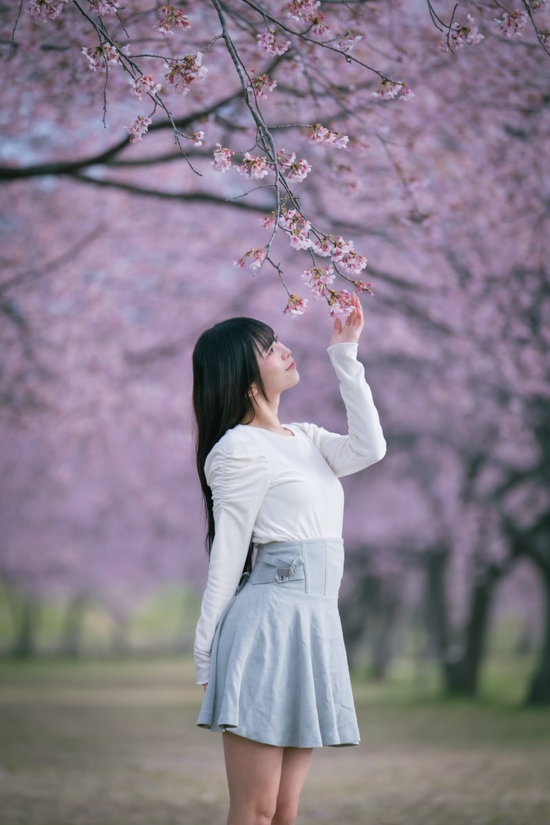 いち（いちにいさん）🦈🧸🥟 tweet media