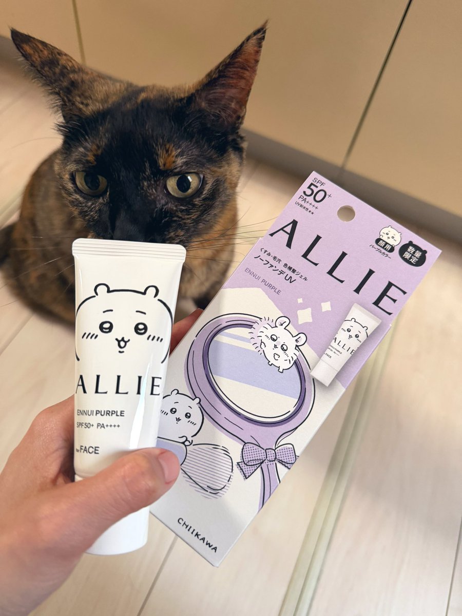 ねこほうママ tweet media