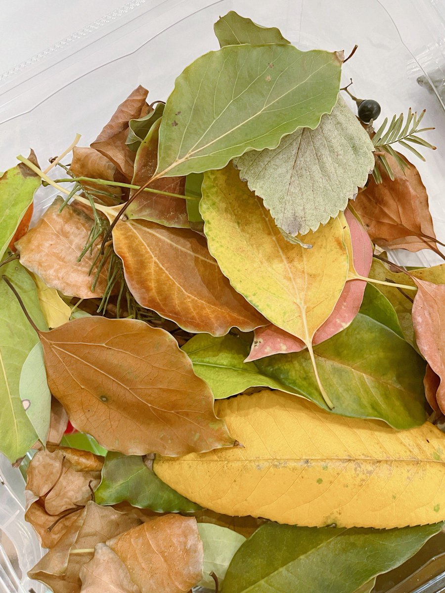 Gongxuping's tweet image. Neighbors!  Community Clean-Up + Potluck THIS SATURDAY (10am-2pm) at Maple Park! Bring gloves, a reusable plate, and a small dish to share. Let’s spruce up our space + connect! #MapleCommunity #NeighborLove