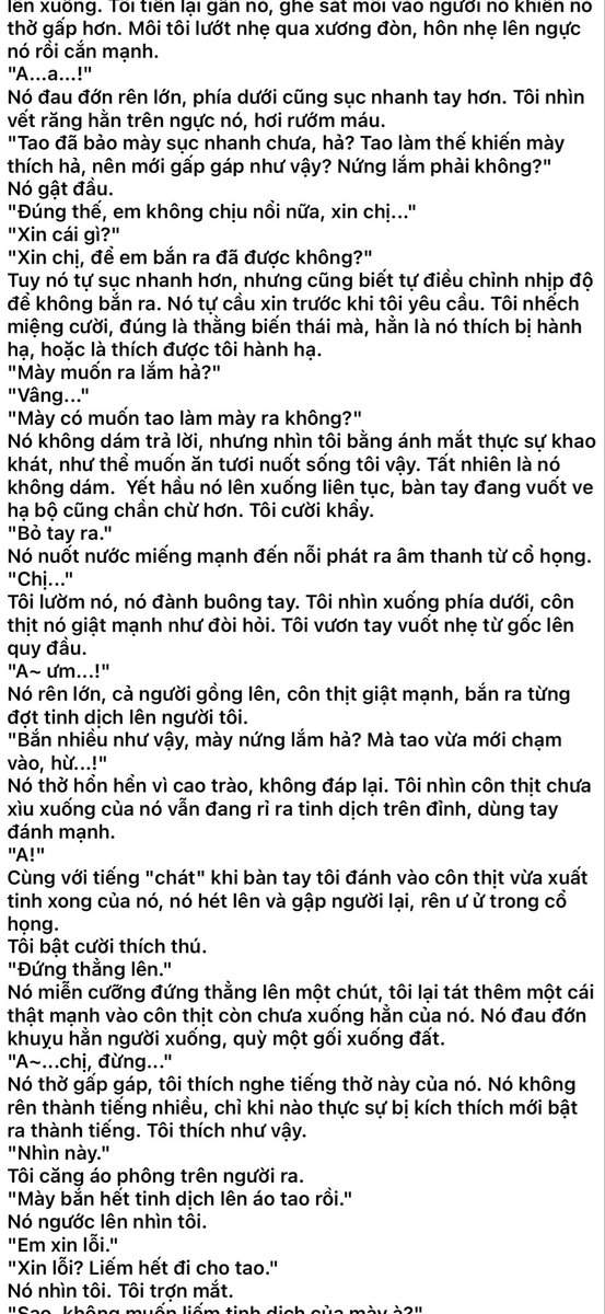 miss dâu 2k6 tweet media