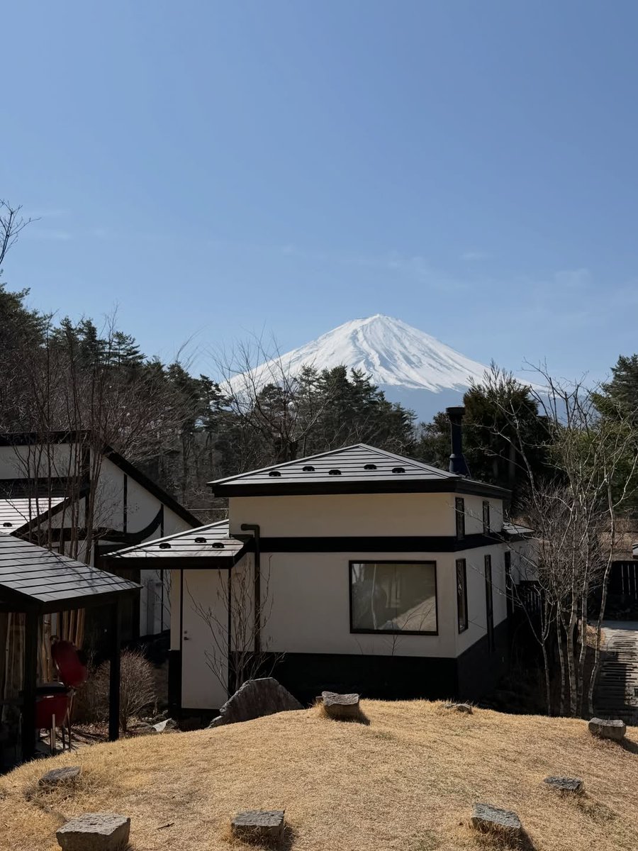 asha ⋆ tweet media