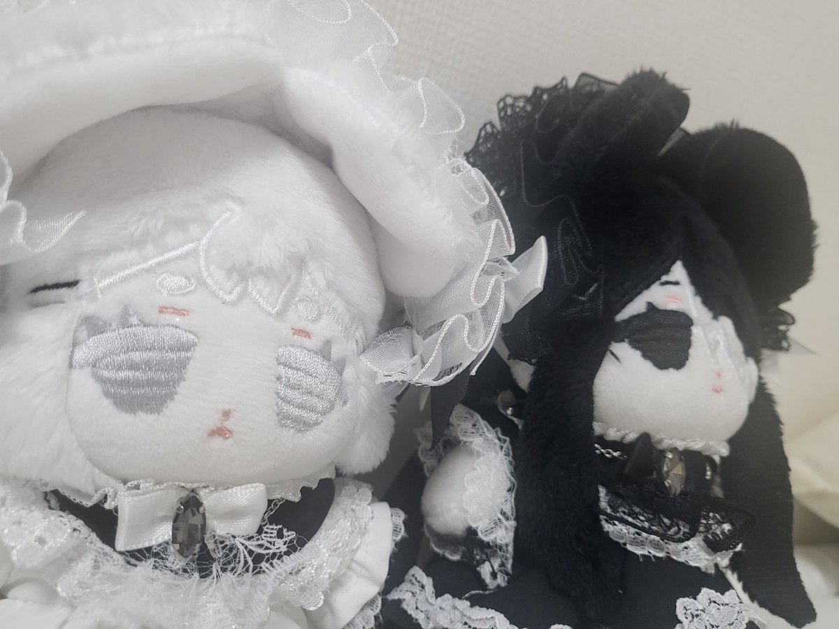 slow🎀솜솜 tweet media