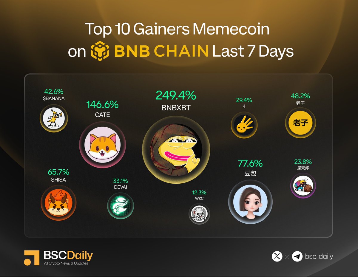 BSCDaily tweet media