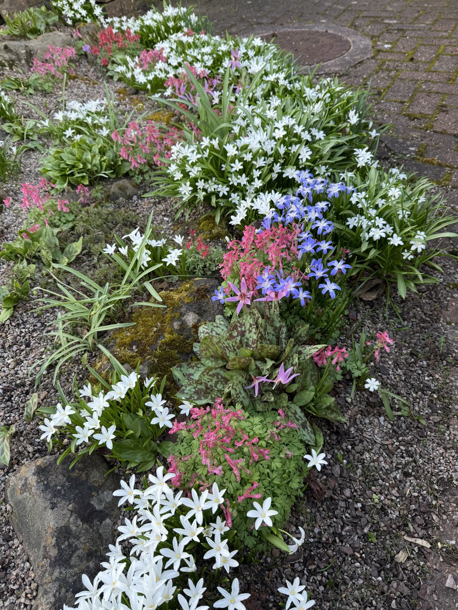 Alan James Gardner tweet media