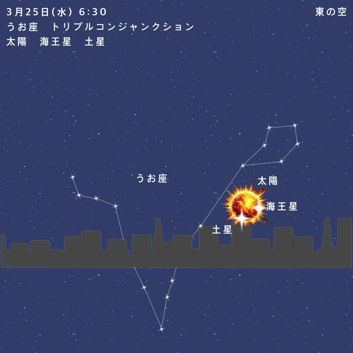 星占い⭐️渡邊ココア tweet media