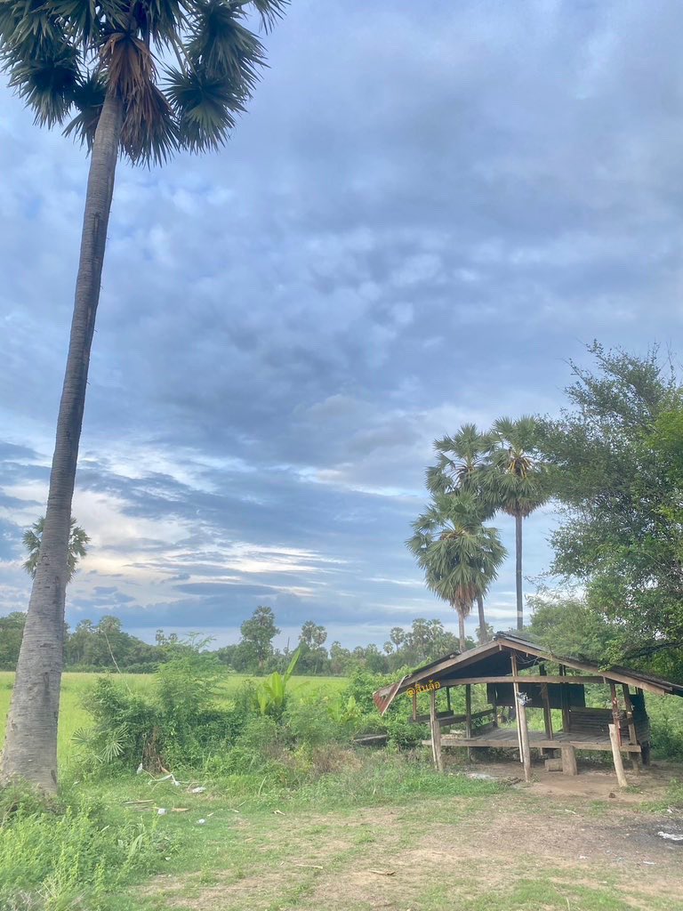 ชื่อสิบล้อ tweet media